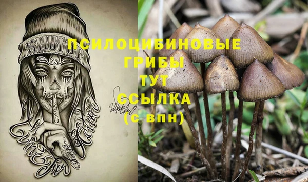 MDMA Premium VHQ Переславль-Залесский
