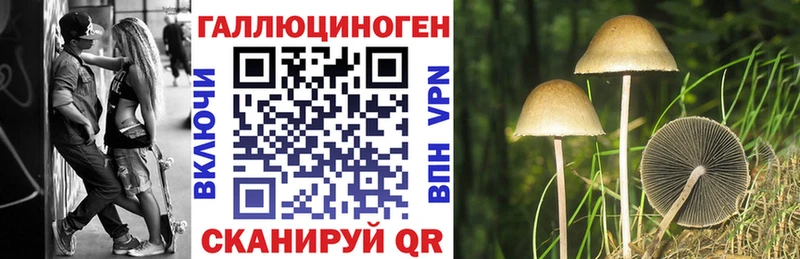 Купить где  Демидов  Галлюциногенные грибы MAGIC MUSHROOMS 